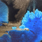 floraison_sous-marine