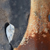 L_instant &eacute;chappe